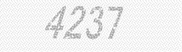Visual security code — type the characters shown in the image