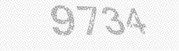 Visual security code — type the characters shown in the image